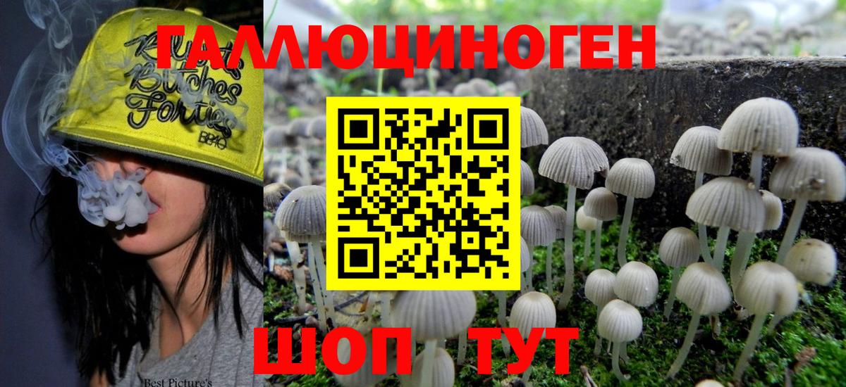 Киржач  Галлюциногенные грибы прущие грибы  Вход с VPN 