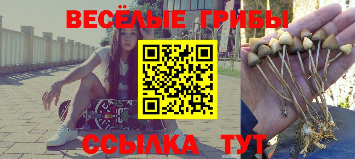 Галлюциногенные грибы Magic Shrooms Киржач